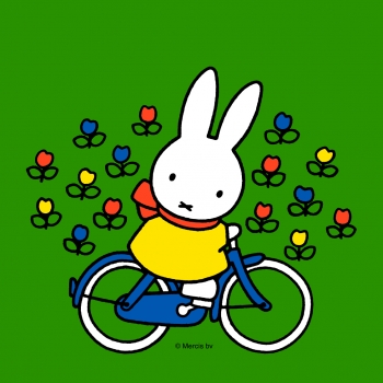 op de fiets.jpg